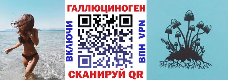 Купить закладки Новочебоксарск Псилоцибиновые грибы MAGIC MUSHROOMS